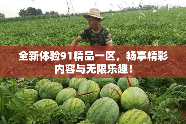 全新体验91精品一区，畅享精彩内容与无限乐趣！