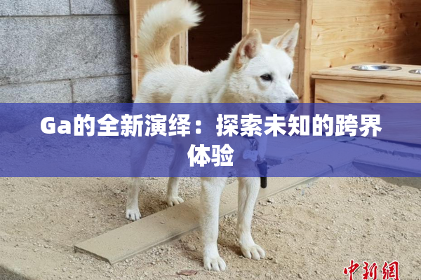 Ga的全新演绎：探索未知的跨界体验