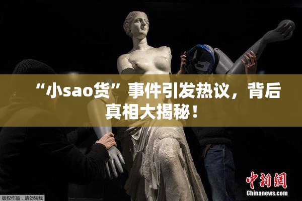 “小sao货”事件引发热议，背后真相大揭秘！
