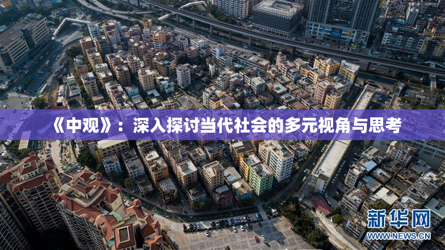 《中观》：深入探讨当代社会的多元视角与思考