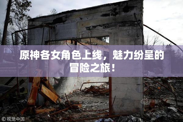 原神各女角色上线，魅力纷呈的冒险之旅！
