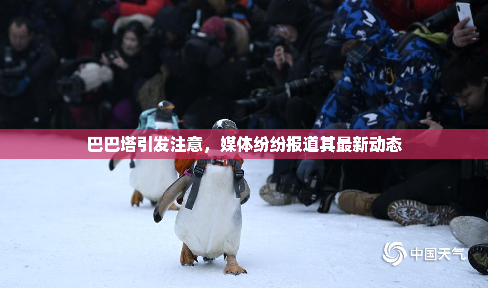巴巴塔引发注意，媒体纷纷报道其最新动态