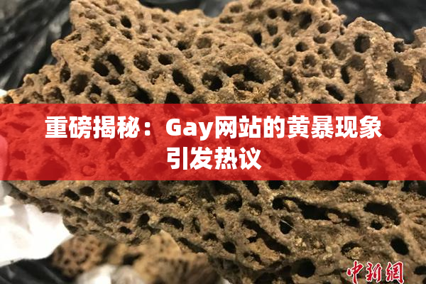 重磅揭秘：Gay网站的黄暴现象引发热议