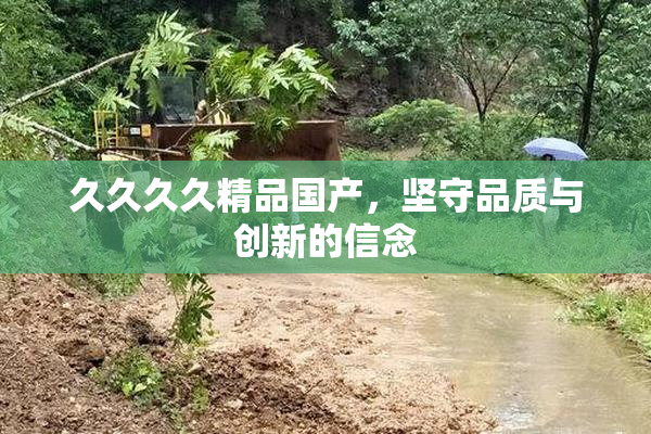 久久久久精品国产，坚守品质与创新的信念