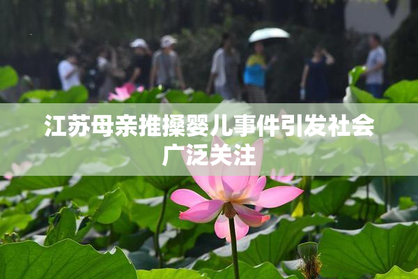 江苏母亲推搡婴儿事件引发社会广泛关注