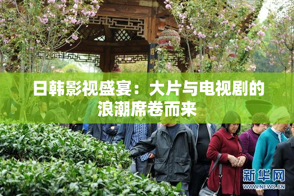 日韩影视盛宴：大片与电视剧的浪潮席卷而来