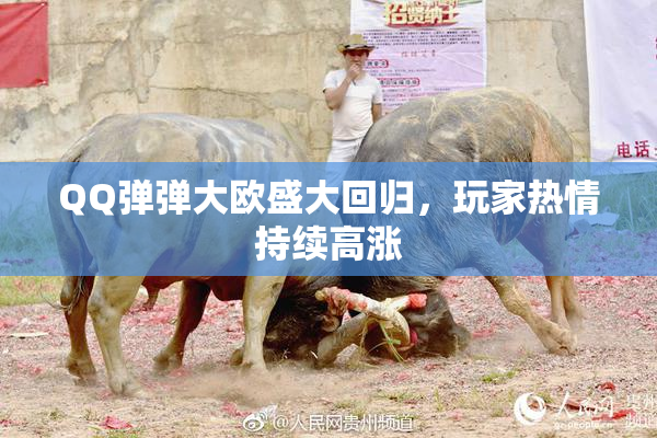 QQ弹弹大欧盛大回归，玩家热情持续高涨