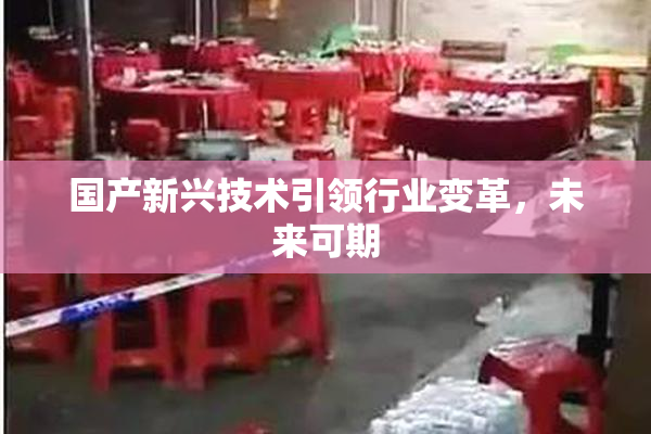 国产新兴技术引领行业变革，未来可期