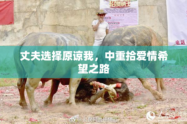丈夫选择原谅我，中重拾爱情希望之路