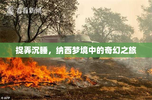 捉弄沉睡，纳西梦境中的奇幻之旅