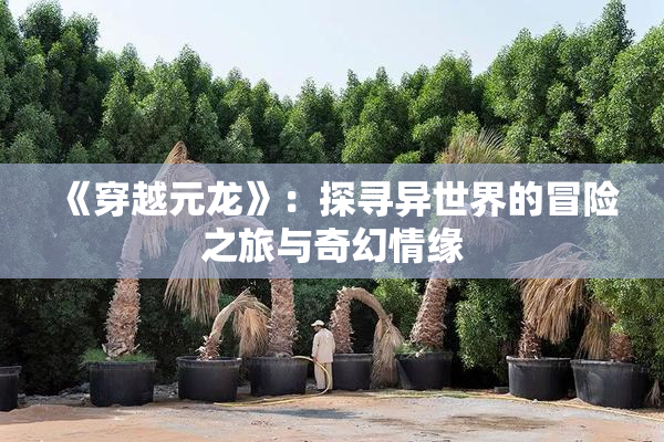 《穿越元龙》：探寻异世界的冒险之旅与奇幻情缘