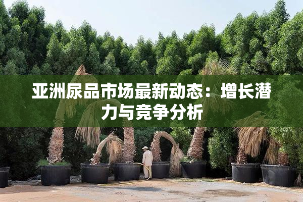 亚洲尿品市场最新动态：增长潜力与竞争分析