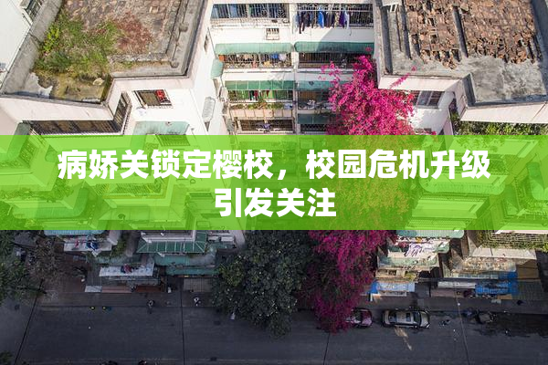 病娇关锁定樱校，校园危机升级引发关注
