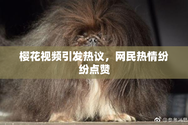 樱花视频引发热议，网民热情纷纷点赞