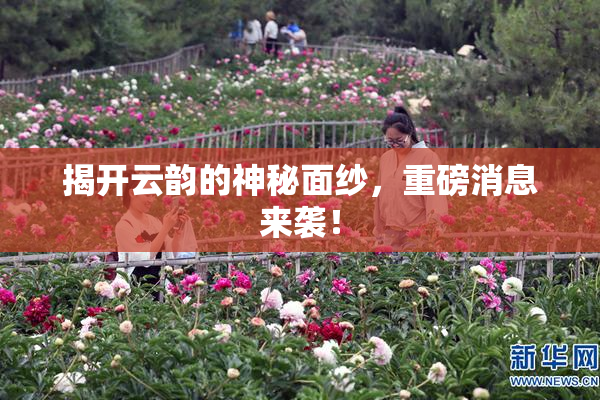 揭开云韵的神秘面纱，重磅消息来袭！