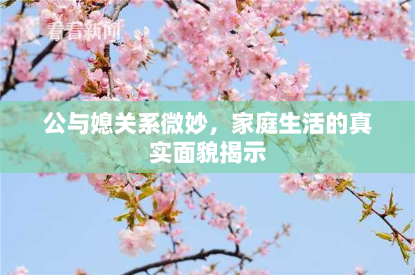 公与媳关系微妙，家庭生活的真实面貌揭示