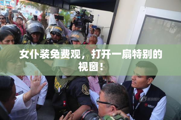 女仆装免费观，打开一扇特别的视窗！