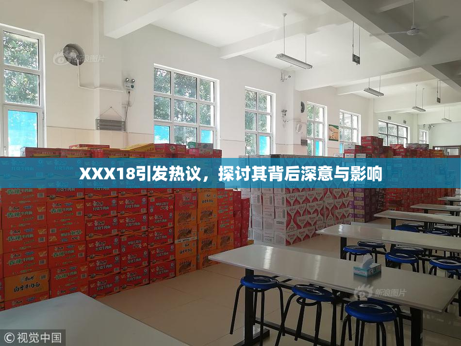 XXX18引发热议，探讨其背后深意与影响