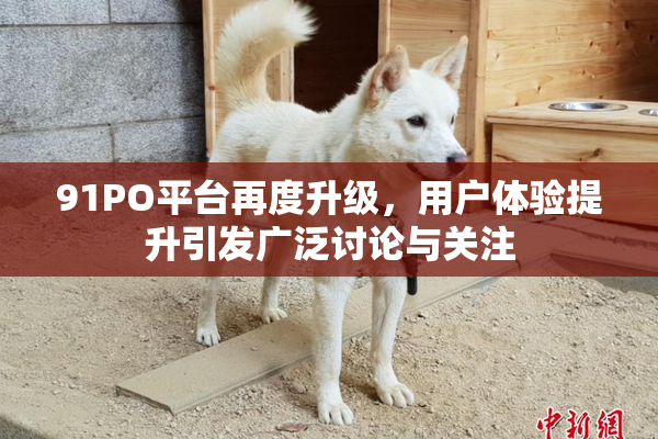 91PO平台再度升级，用户体验提升引发广泛讨论与关注