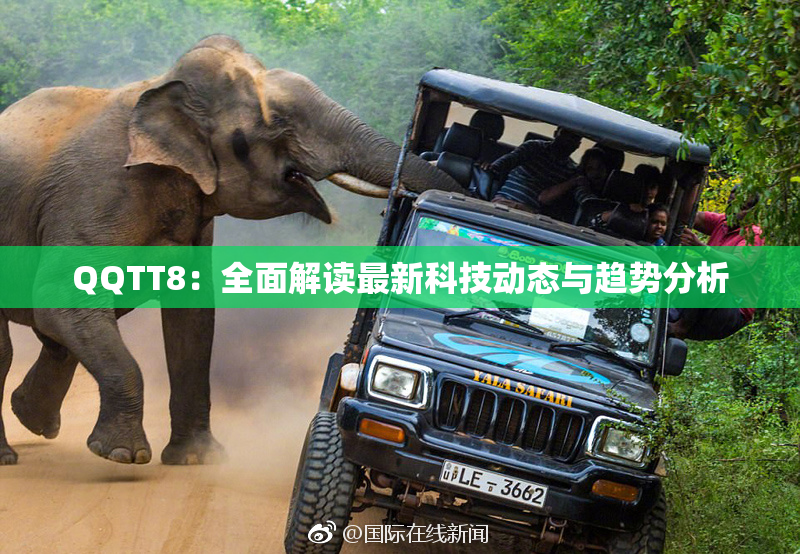 QQTT8：全面解读最新科技动态与趋势分析