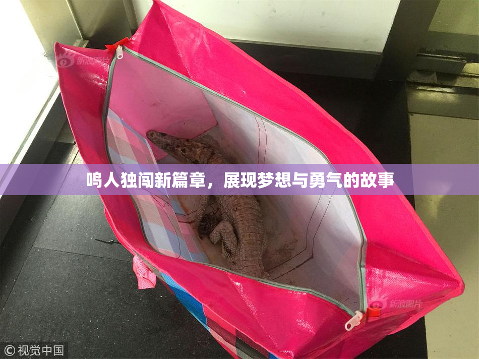 鸣人独闯新篇章，展现梦想与勇气的故事