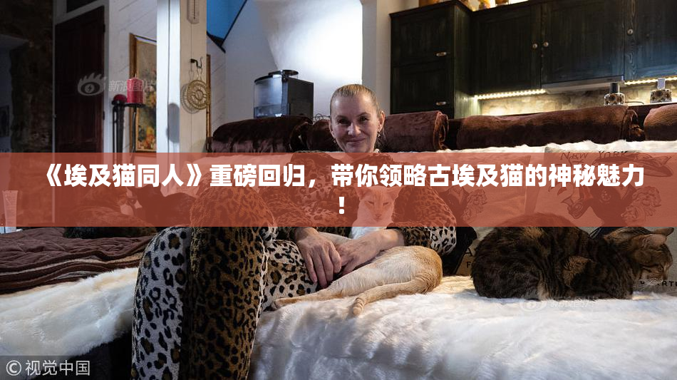 《埃及猫同人》重磅回归，带你领略古埃及猫的神秘魅力！