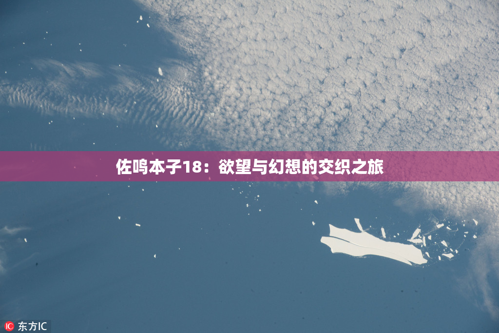 佐鸣本子18：欲望与幻想的交织之旅