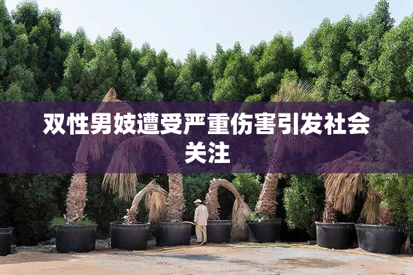 双性男妓遭受严重伤害引发社会关注