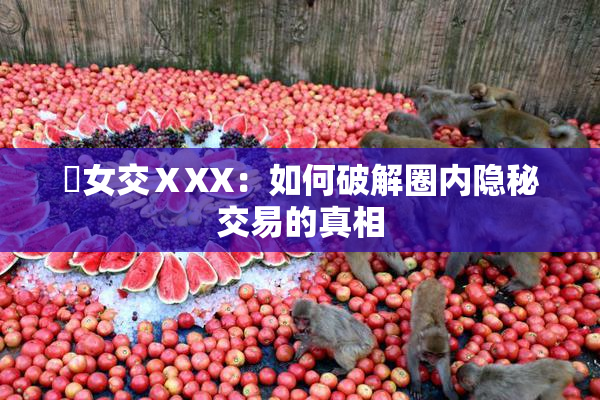 乣女交ⅩXX：如何破解圈内隐秘交易的真相