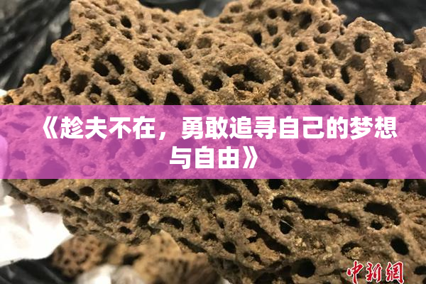 《趁夫不在，勇敢追寻自己的梦想与自由》