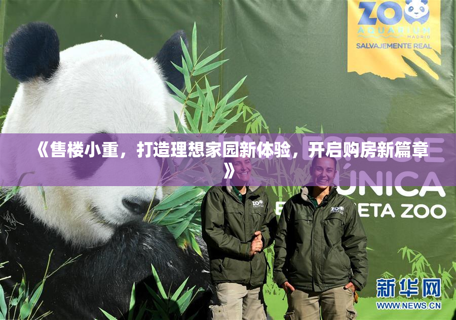 《售楼小重，打造理想家园新体验，开启购房新篇章》
