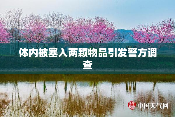 体内被塞入两颗物品引发警方调查
