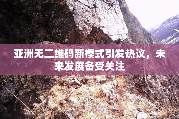 亚洲无二维码新模式引发热议，未来发展备受关注