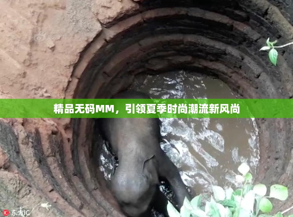 精品无码MM，引领夏季时尚潮流新风尚