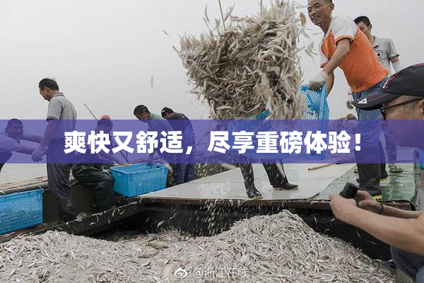爽快又舒适，尽享重磅体验！