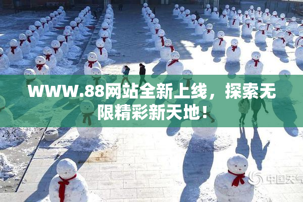 WWW.88网站全新上线，探索无限精彩新天地！