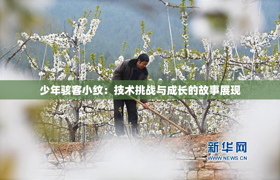 少年骇客小纹：技术挑战与成长的故事展现