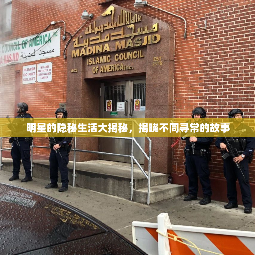 明星的隐秘生活大揭秘，揭晓不同寻常的故事