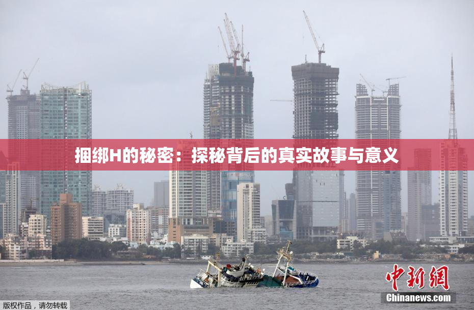 捆绑H的秘密：探秘背后的真实故事与意义