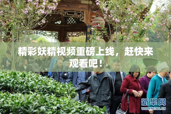 精彩妖精视频重磅上线，赶快来观看吧！