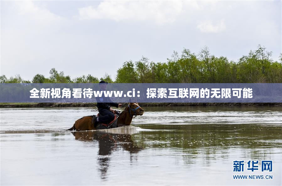 全新视角看待www.ci：探索互联网的无限可能