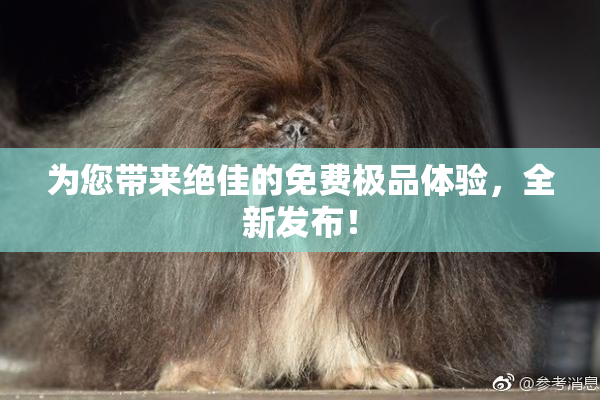 为您带来绝佳的免费极品体验，全新发布！