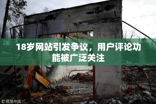 18岁网站引发争议，用户评论功能被广泛关注