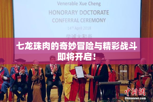 七龙珠肉的奇妙冒险与精彩战斗即将开启！