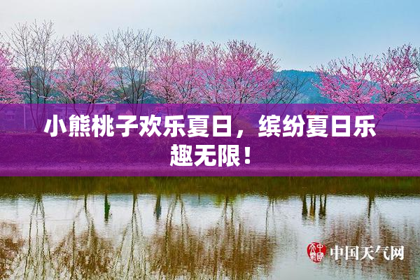 小熊桃子欢乐夏日，缤纷夏日乐趣无限！