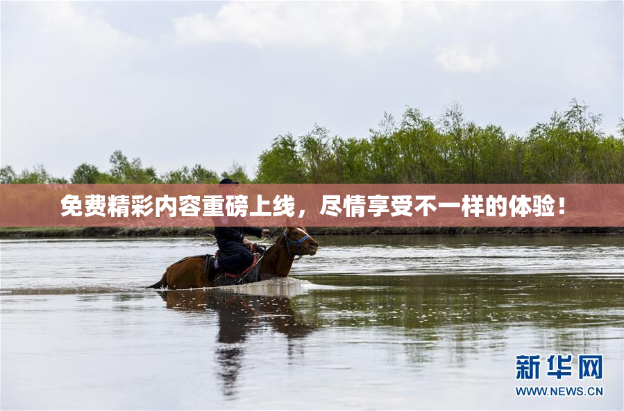 免费精彩内容重磅上线，尽情享受不一样的体验！