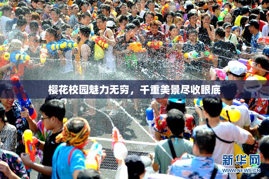 樱花校园魅力无穷，千重美景尽收眼底