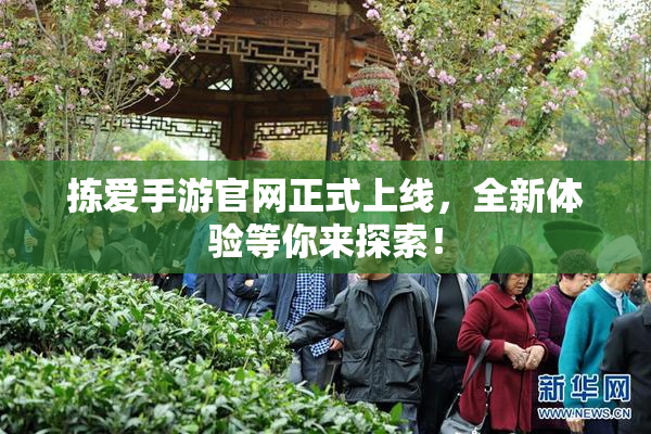 拣爱手游官网正式上线，全新体验等你来探索！