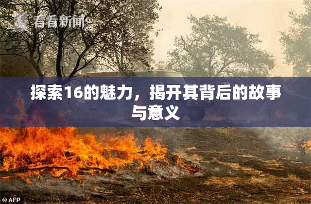 探索16的魅力，揭开其背后的故事与意义