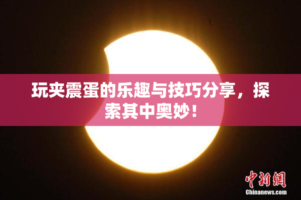 玩夹震蛋的乐趣与技巧分享，探索其中奥妙！